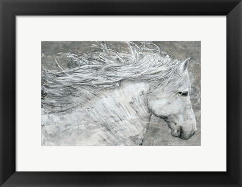 Framed Wild Horse Print