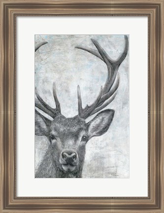 Framed Portrait of a Deer Print