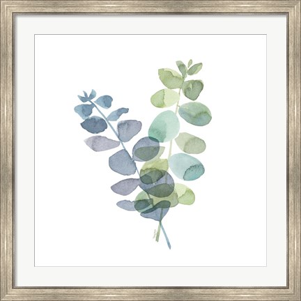 Framed Natural Inspiration Blue Eucalyptus on White I Print