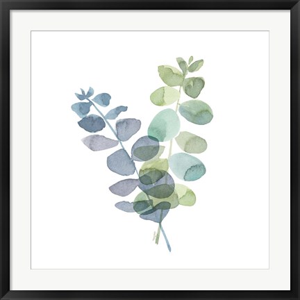 Framed Natural Inspiration Blue Eucalyptus on White I Print