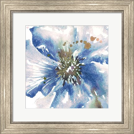 Framed Blue Watercolor Poppy Close Up II Print