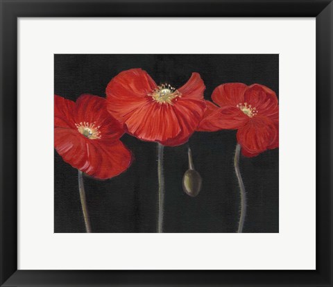 Framed Poppy Trio I Print