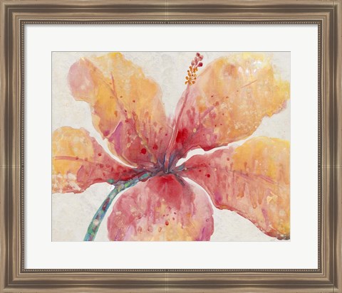 Framed Blooming Hibiscus Print