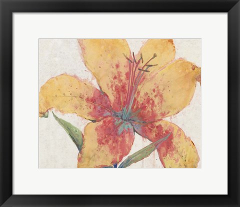 Framed Blooming Lily Print