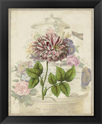 Framed Vintage Rose Bookplate Print