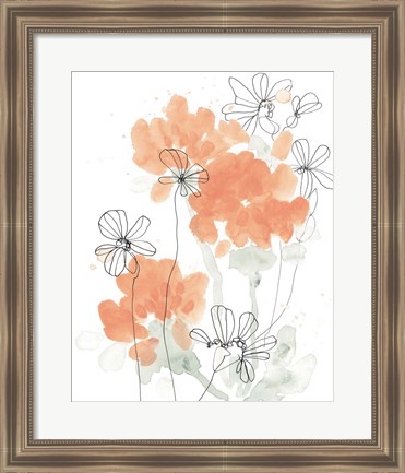 Framed Blush Peonies II Print