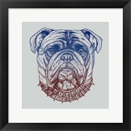 Framed Gritty Bulldog Print