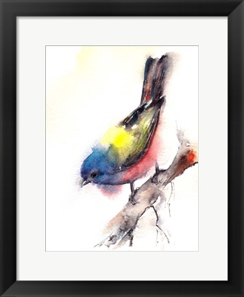 Framed Bunting Bird Print