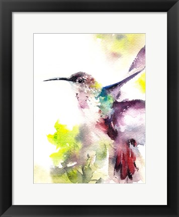 Framed Hummingbird Print