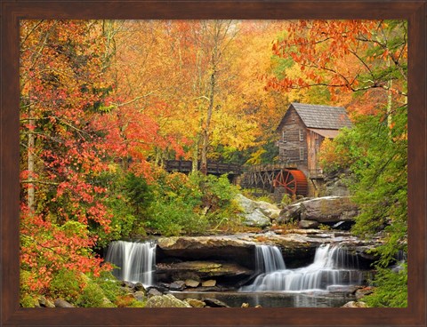 Framed Autumn Splendor Print