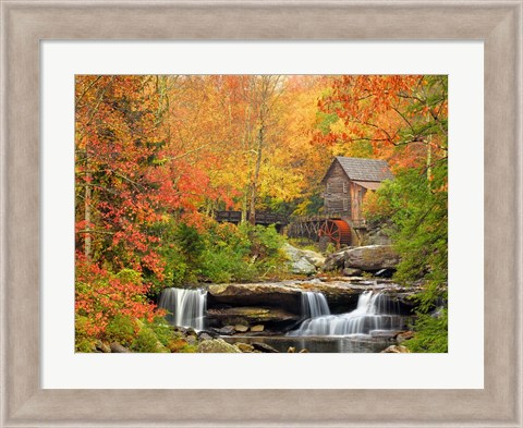 Framed Autumn Splendor Print