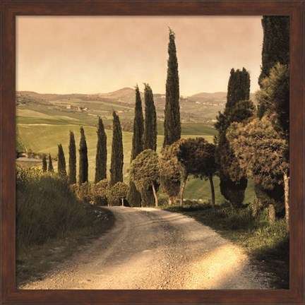 Framed Country Lane, Tuscany Print