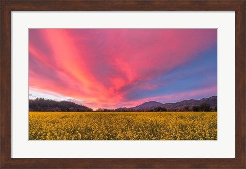 Framed Spring Sunset Napa Valley Print