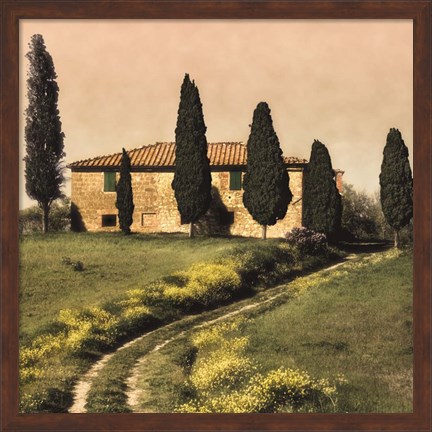 Framed Tuscan Farmhouse Print