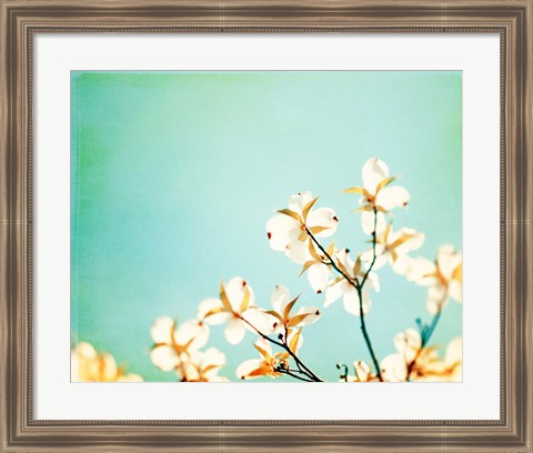 Framed Blossoms Adrift Print