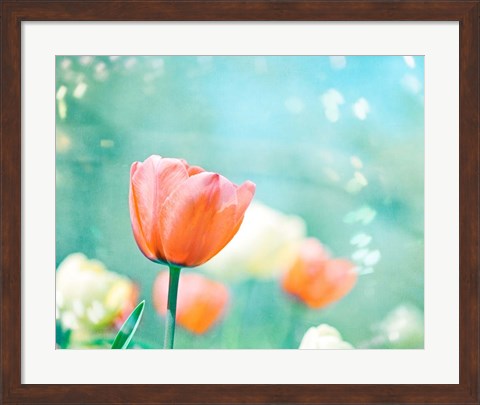 Framed Garden of Dreams Print