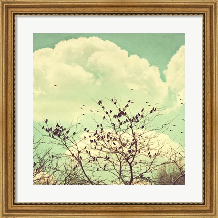 Framed Birds of a Feather Print