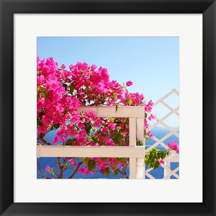 Framed Santorini Blooms Print