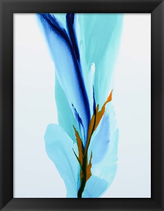 Framed Spring&#39;s Calling Card Print