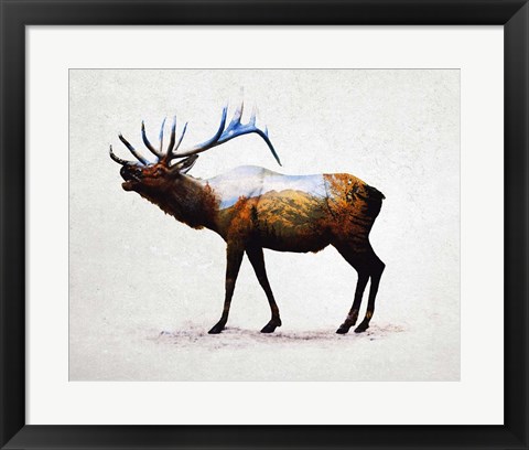 Framed Rocky Mountain Elk Print