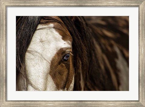 Framed Blue Print