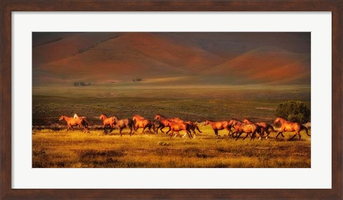 Framed Montana Dreaming Print