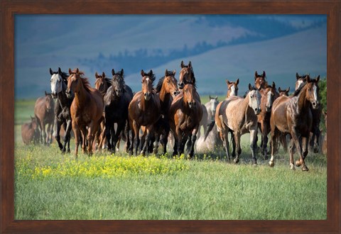 Framed Montana Thunder Print