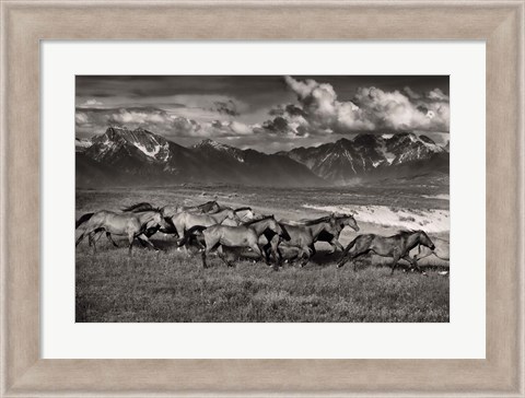 Framed Mountain Range Mavericks Print