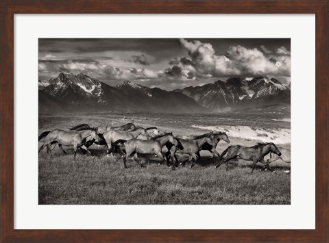 Framed Mountain Range Mavericks Print