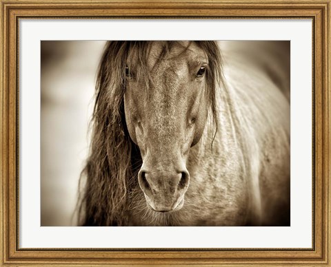 Framed Mustang Sally Print