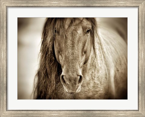 Framed Mustang Sally Print