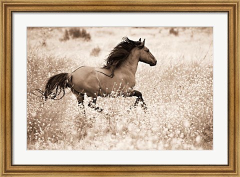 Framed Running Free Print