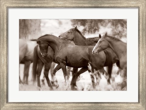 Framed Herd Print