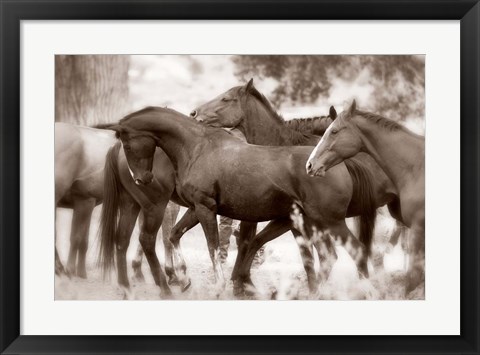 Framed Herd Print