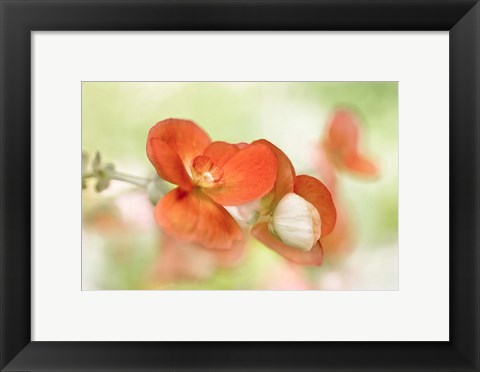 Framed Summer Glow Print