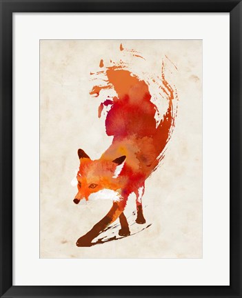 Framed Vulpes Vulpes Print