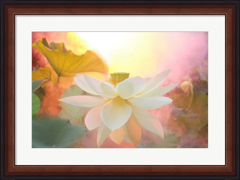 Framed Arise Print