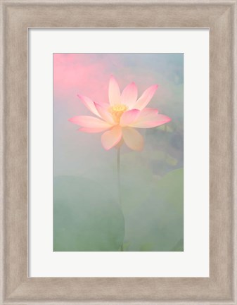 Framed Pink Passion Print