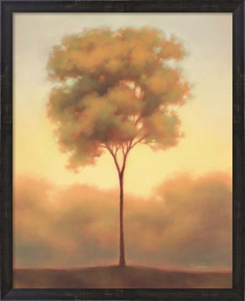 Framed Solitude III Print