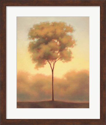 Framed Solitude III Print