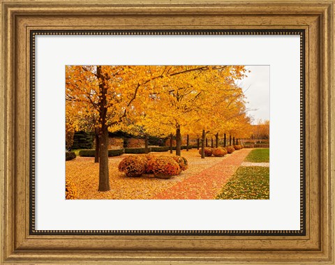 Framed Fall Walkway Print