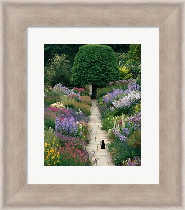 Framed Garden Cat Print