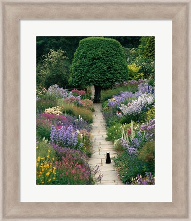 Framed Garden Cat Print