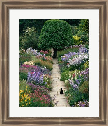 Framed Garden Cat Print