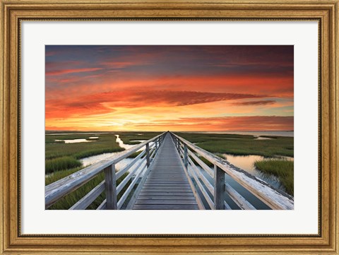 Framed Greys Beach Sunset Print