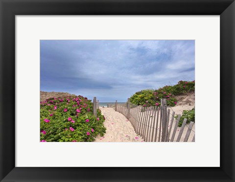 Framed Rose Path Print