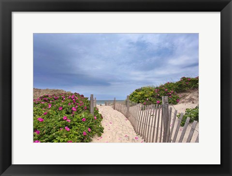 Framed Rose Path Print