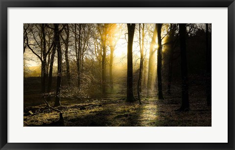 Framed Autumn Lights Print