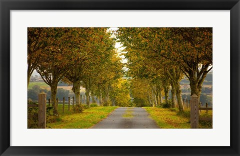 Framed Colors of Autumn Print