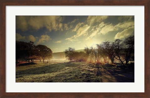 Framed Here Comes the Sun Print